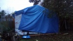 Shed 08933.jpg Shed 08933.jpg